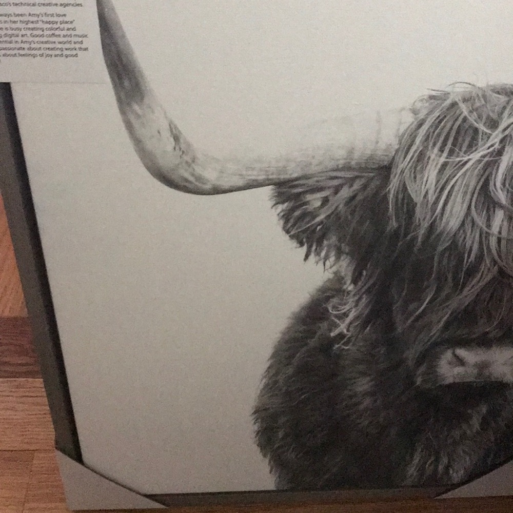 Cow Print